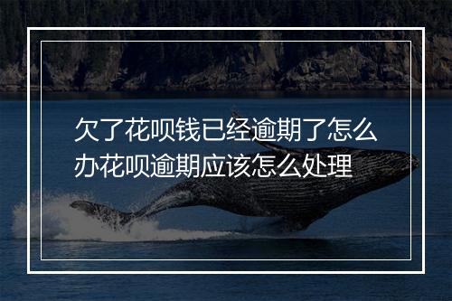 欠了花呗钱已经逾期了怎么办花呗逾期应该怎么处理