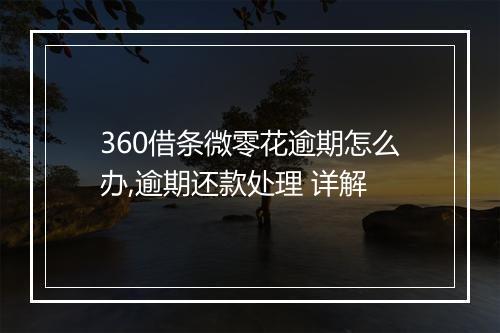 360借条微零花逾期怎么办,逾期还款处理 详解
