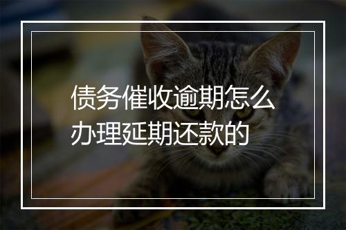 债务催收逾期怎么办理延期还款的