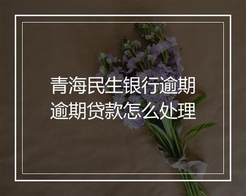 青海民生银行逾期逾期贷款怎么处理