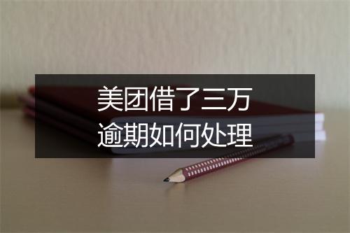 美团借了三万逾期如何处理