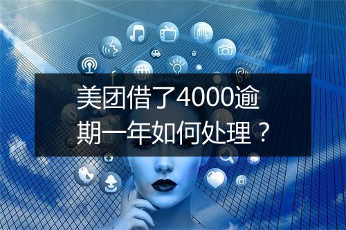 美团借了4000逾期一年如何处理？