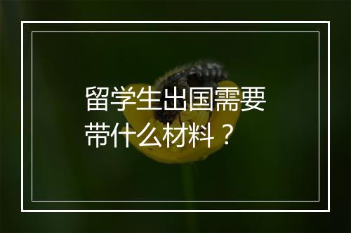 留学生出国需要带什么材料？