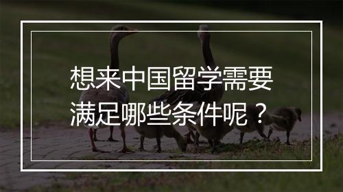 想来中国留学需要满足哪些条件呢？