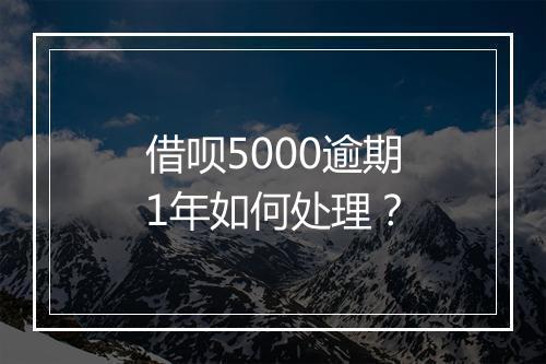 借呗5000逾期1年如何处理？