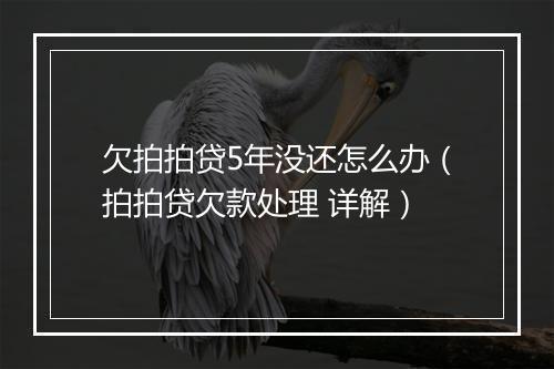 欠拍拍贷5年没还怎么办（拍拍贷欠款处理 详解）