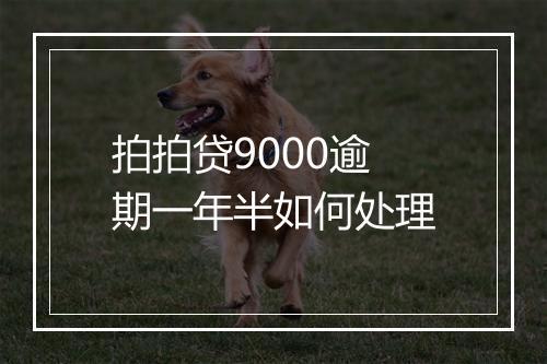 拍拍贷9000逾期一年半如何处理