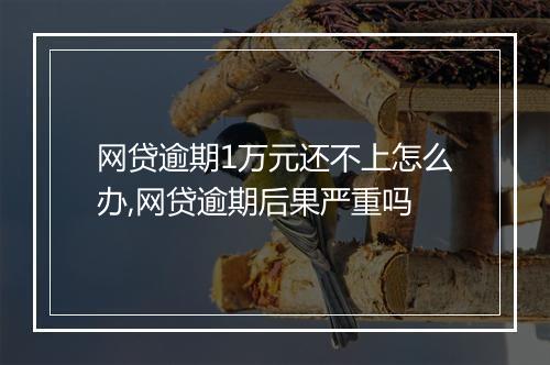 网贷逾期1万元还不上怎么办,网贷逾期后果严重吗