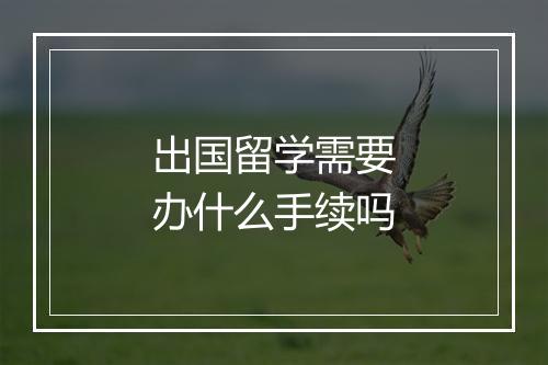 出国留学需要办什么手续吗