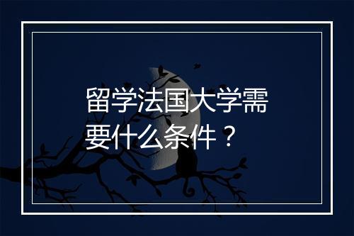 留学法国大学需要什么条件？