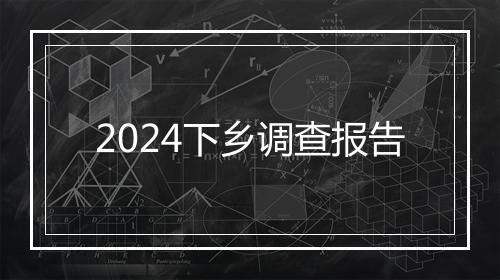 2024下乡调查报告