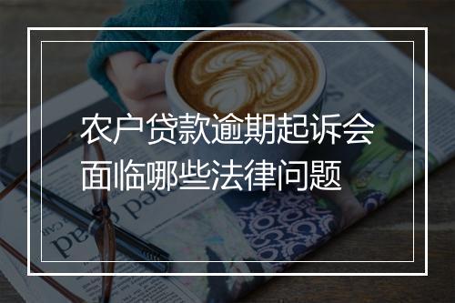 农户贷款逾期起诉会面临哪些法律问题