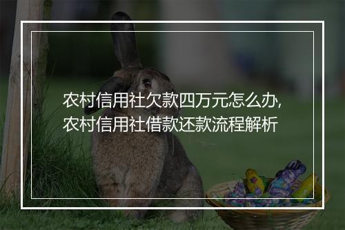 农村信用社欠款四万元怎么办,农村信用社借款还款流程解析