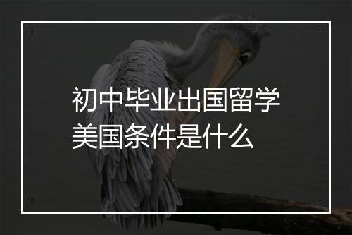 初中毕业出国留学美国条件是什么