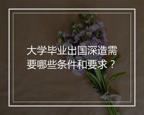 大学毕业出国深造需要哪些条件和要求？