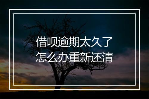 借呗逾期太久了怎么办重新还清