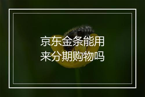 京东金条能用来分期购物吗