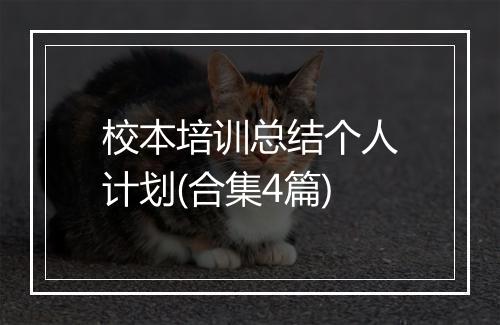校本培训总结个人计划(合集4篇)