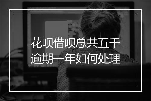 花呗借呗总共五千逾期一年如何处理