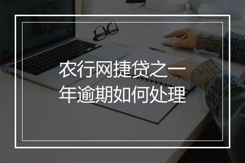 农行网捷贷之一年逾期如何处理
