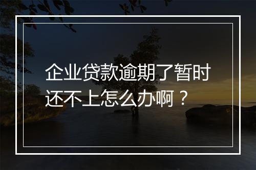 企业贷款逾期了暂时还不上怎么办啊？