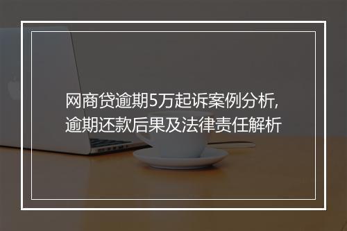 网商贷逾期5万起诉案例分析,逾期还款后果及法律责任解析