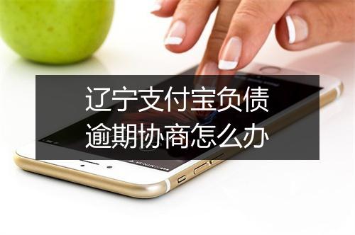 辽宁支付宝负债逾期协商怎么办