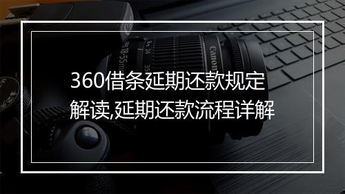 360借条延期还款规定解读,延期还款流程详解