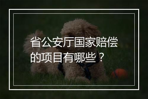 省公安厅国家赔偿的项目有哪些？