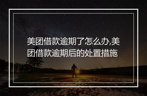 美团借款逾期了怎么办,美团借款逾期后的处置措施