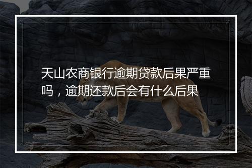 天山农商银行逾期贷款后果严重吗，逾期还款后会有什么后果