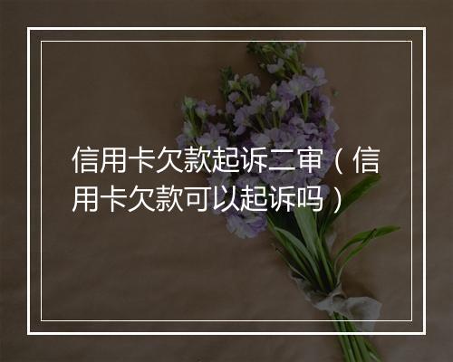 信用卡欠款起诉二审（信用卡欠款可以起诉吗）