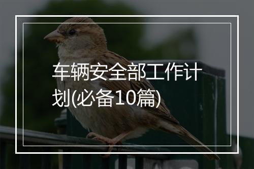 车辆安全部工作计划(必备10篇)