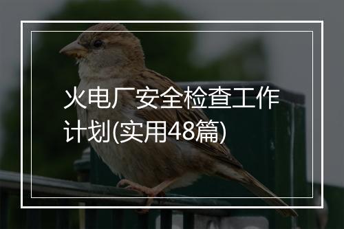 火电厂安全检查工作计划(实用48篇)