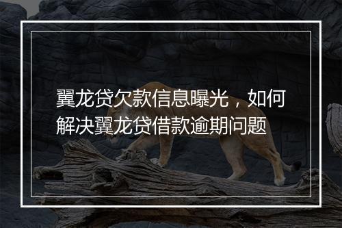 翼龙贷欠款信息曝光，如何解决翼龙贷借款逾期问题