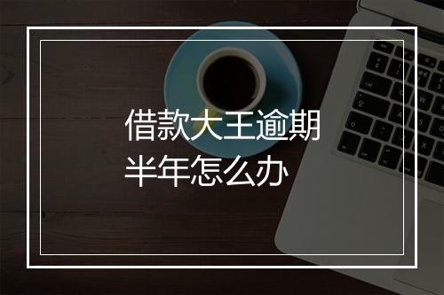借款大王逾期半年怎么办