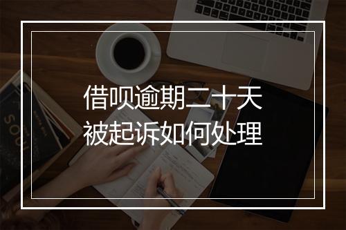 借呗逾期二十天被起诉如何处理
