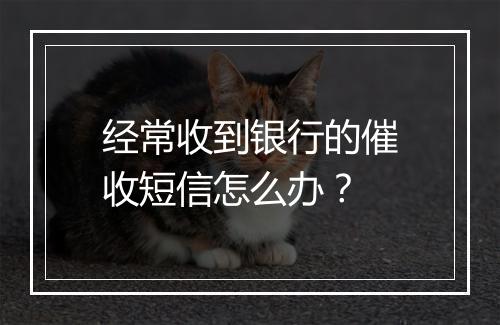 经常收到银行的催收短信怎么办？