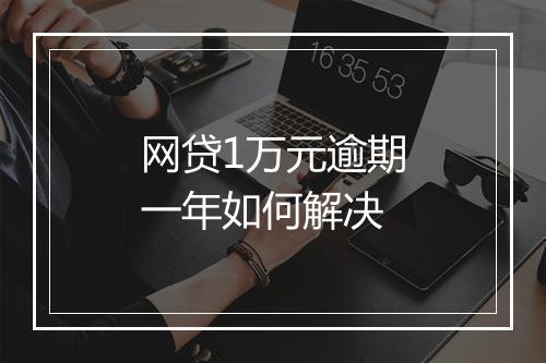 网贷1万元逾期一年如何解决