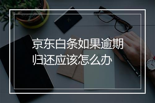 京东白条如果逾期归还应该怎么办
