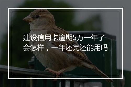 建设信用卡逾期5万一年了会怎样，一年还完还能用吗