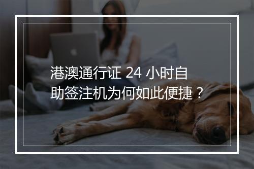 港澳通行证 24 小时自助签注机为何如此便捷？