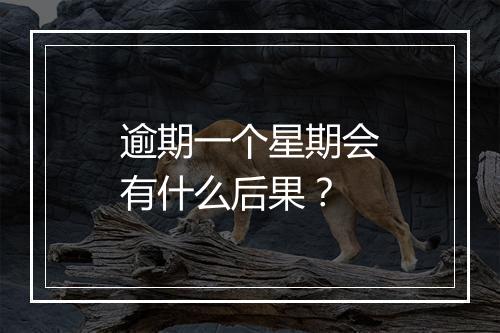 逾期一个星期会有什么后果？