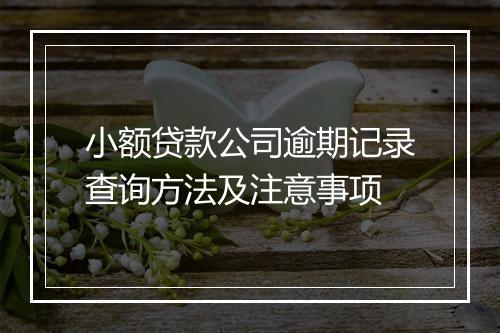 小额贷款公司逾期记录查询方法及注意事项
