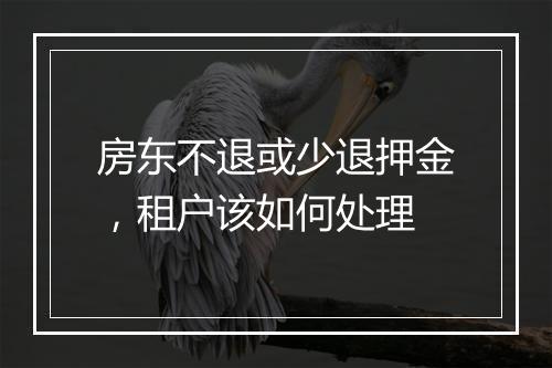 房东不退或少退押金，租户该如何处理
