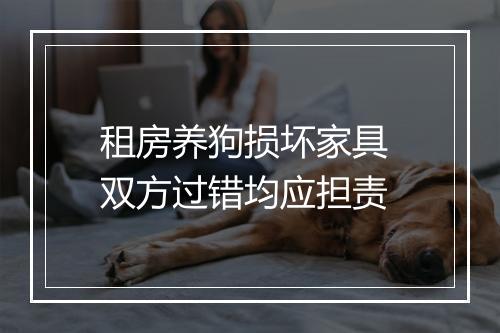 租房养狗损坏家具 双方过错均应担责