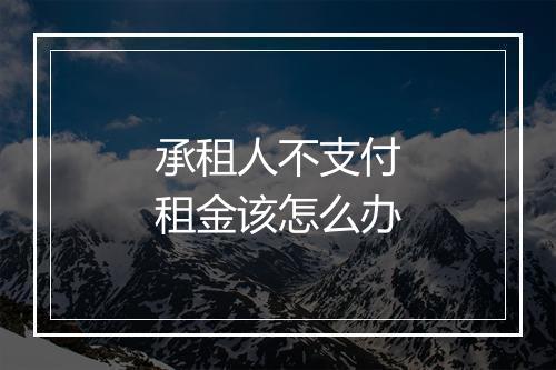承租人不支付租金该怎么办