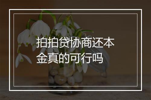 拍拍贷协商还本金真的可行吗
