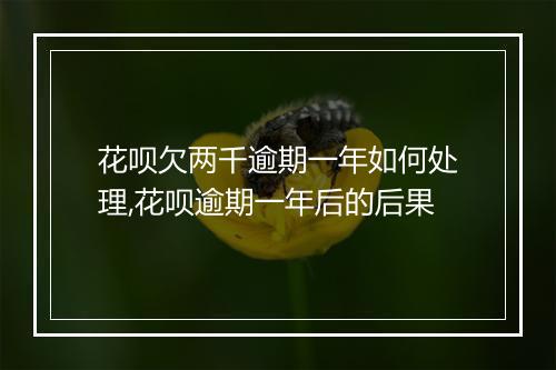 花呗欠两千逾期一年如何处理,花呗逾期一年后的后果