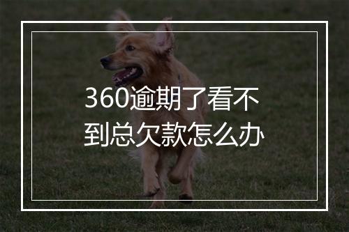 360逾期了看不到总欠款怎么办